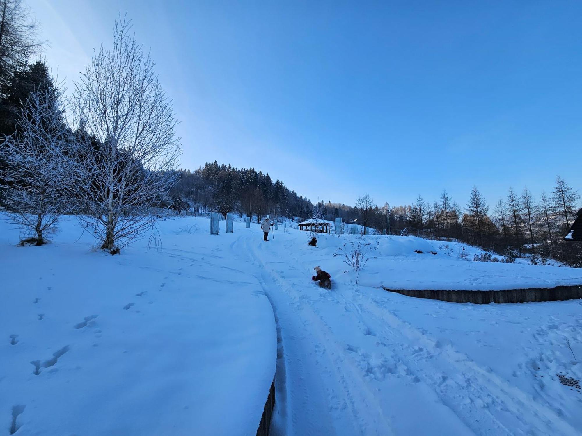 Otulina Park Panzió Szczawnica Kültér fotó