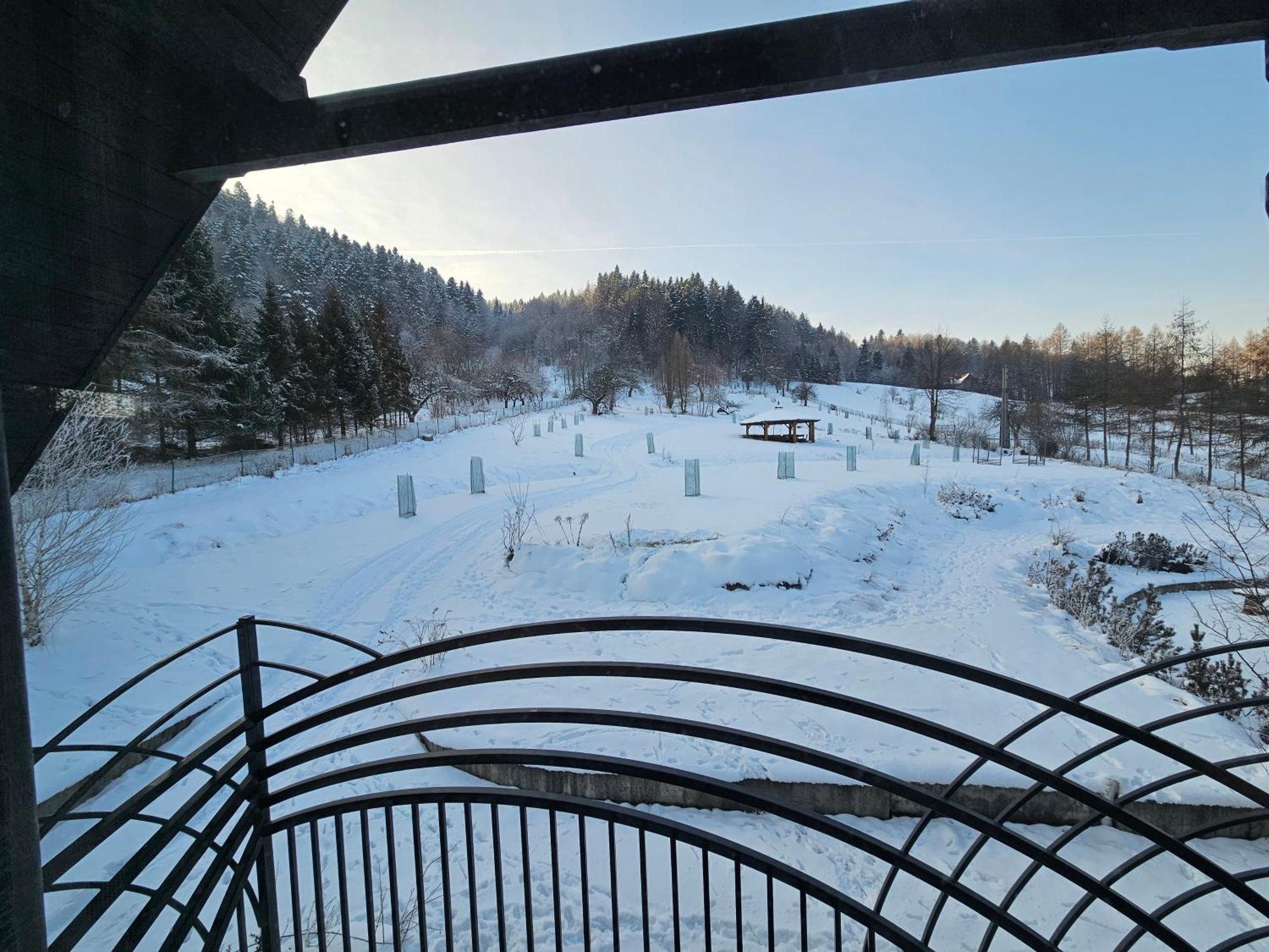 Otulina Park Panzió Szczawnica Kültér fotó