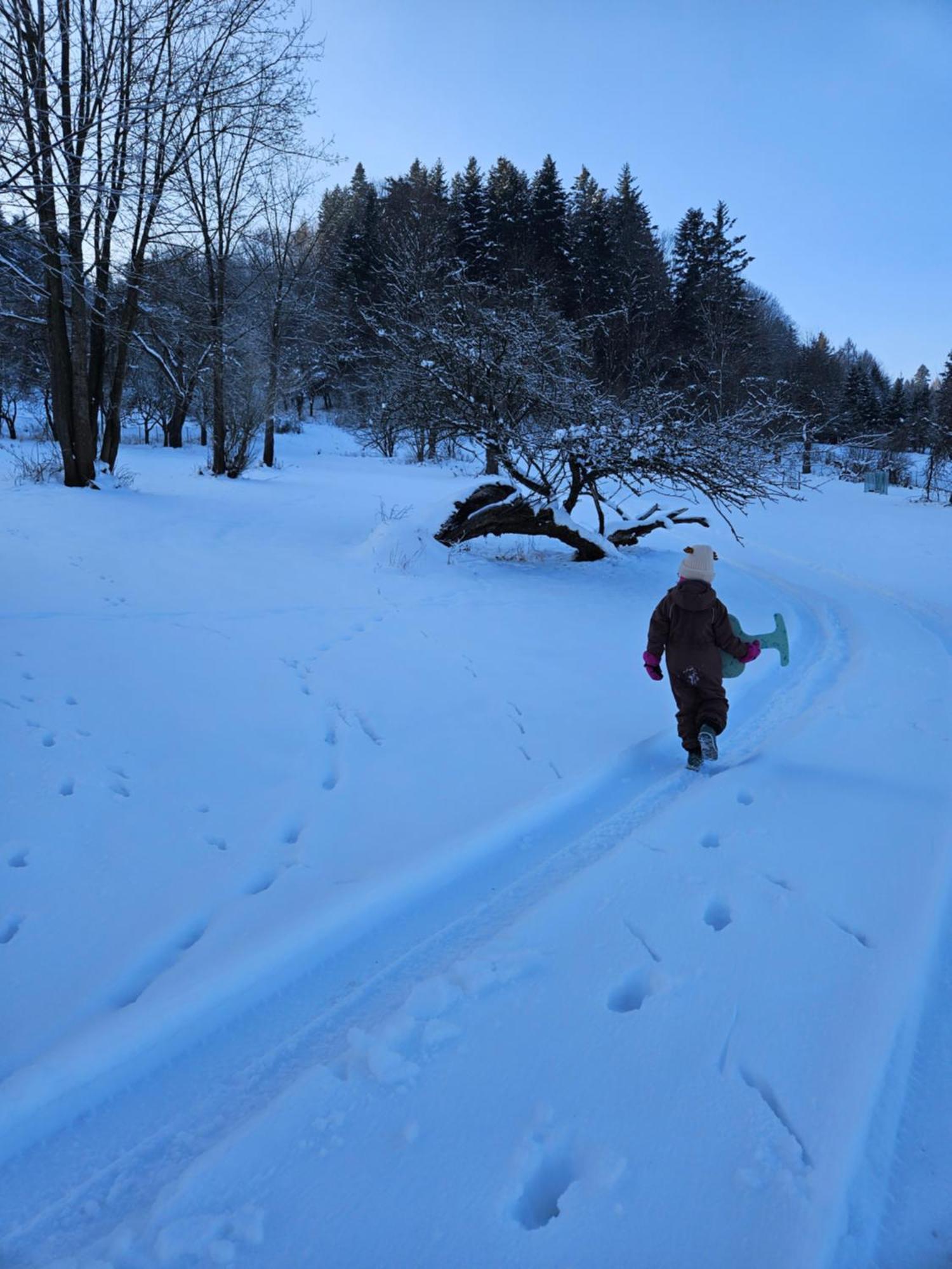 Otulina Park Panzió Szczawnica Kültér fotó