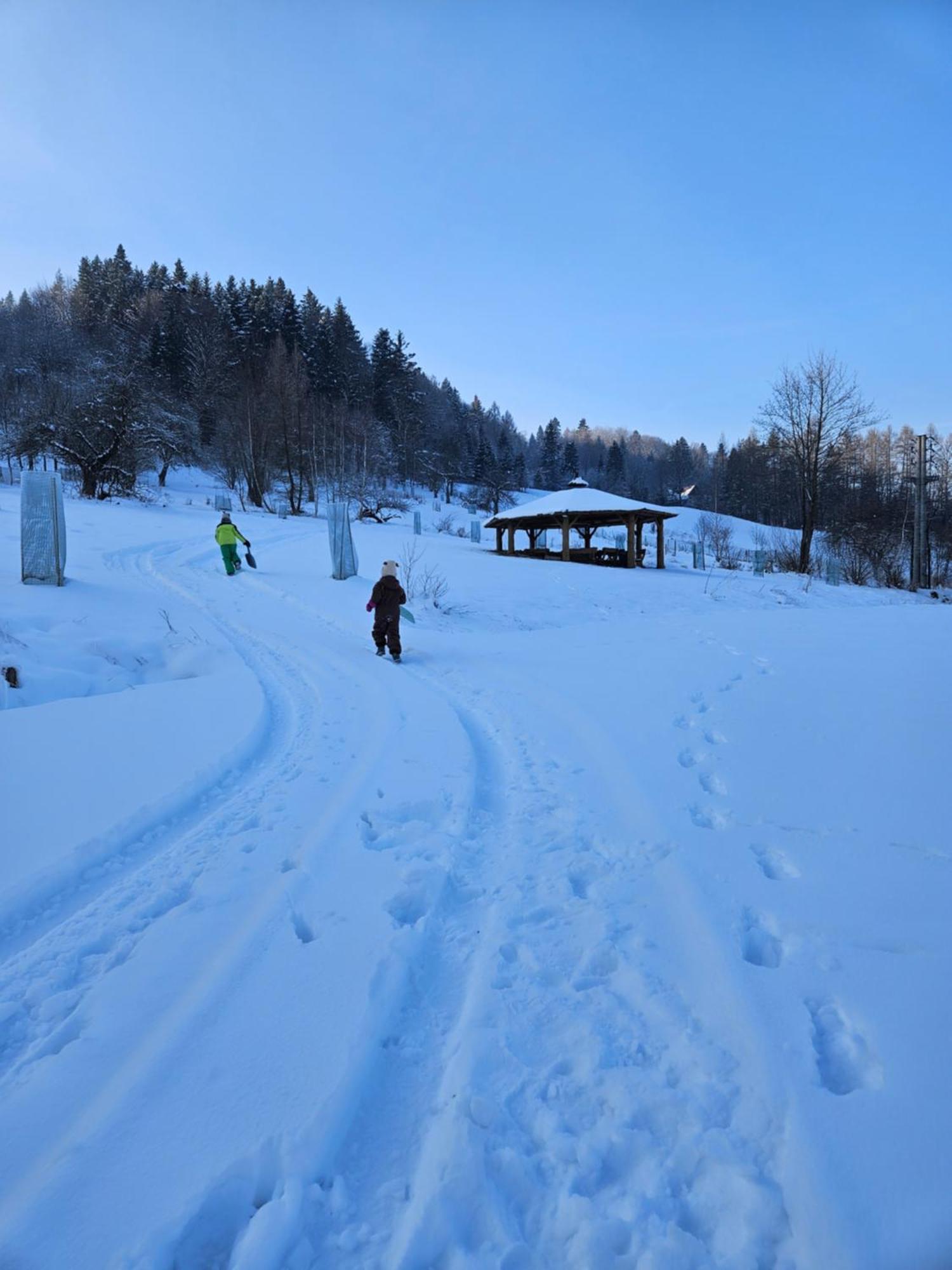 Otulina Park Panzió Szczawnica Kültér fotó