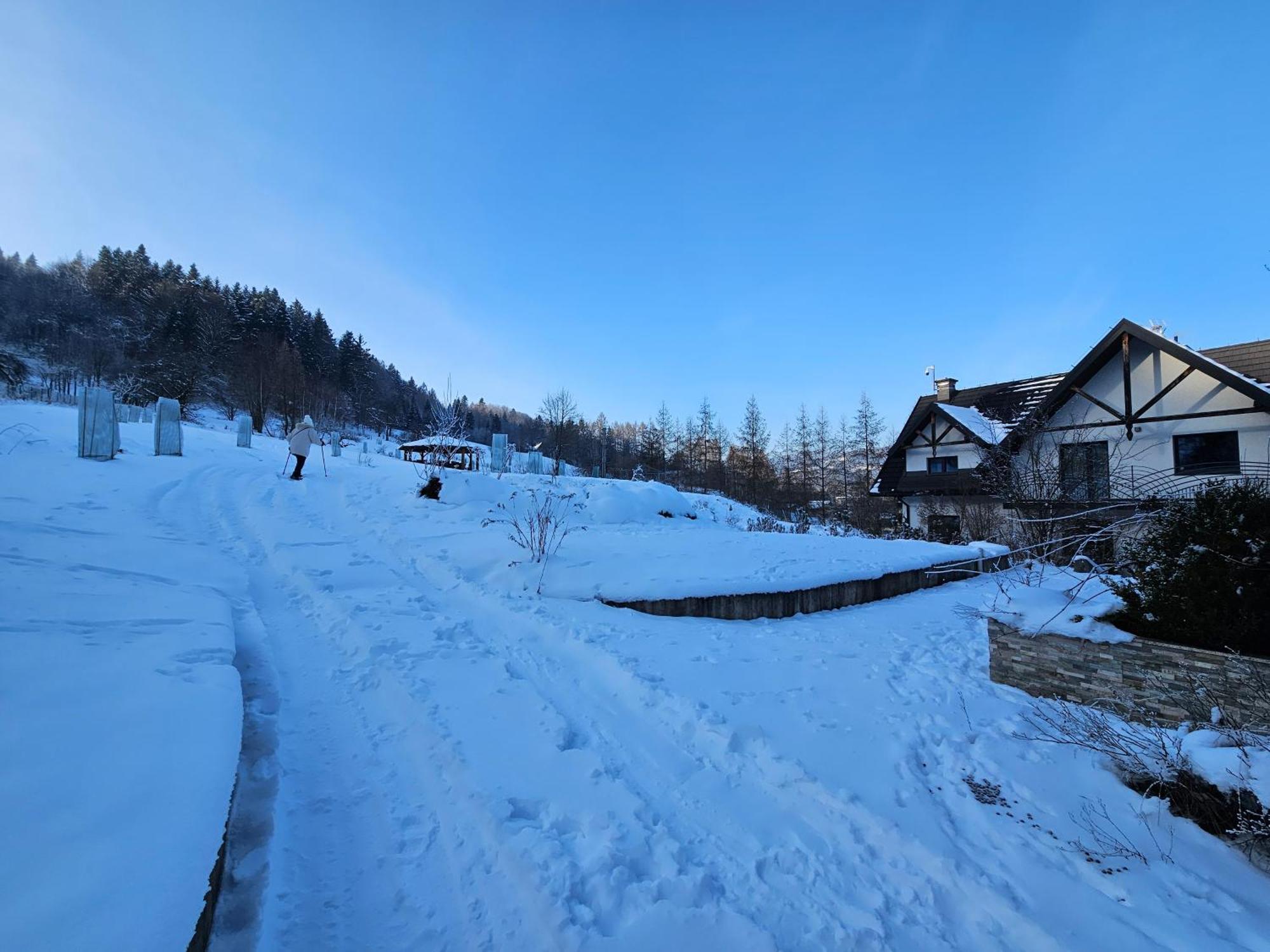 Otulina Park Panzió Szczawnica Kültér fotó