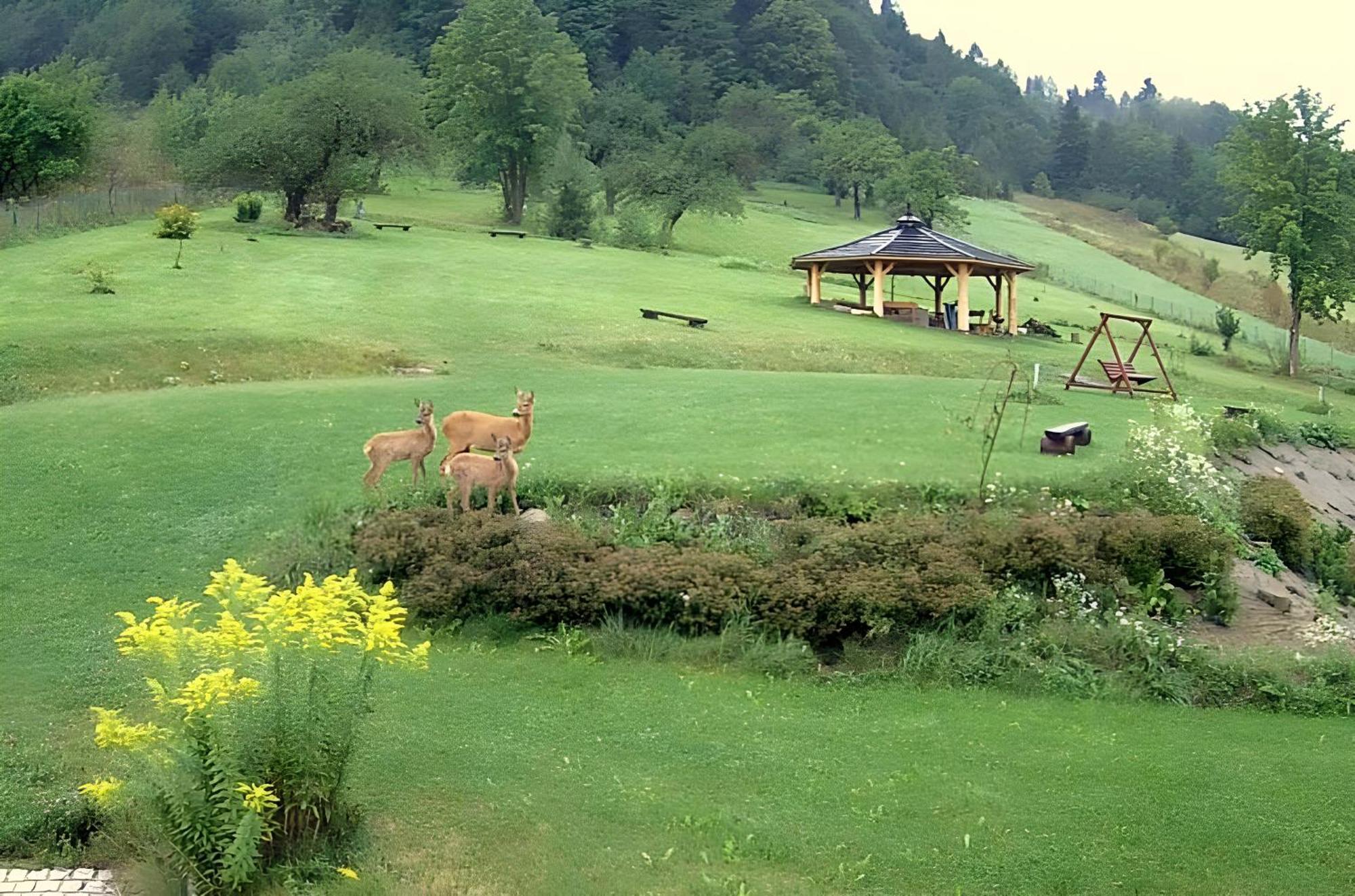 Otulina Park Panzió Szczawnica Kültér fotó