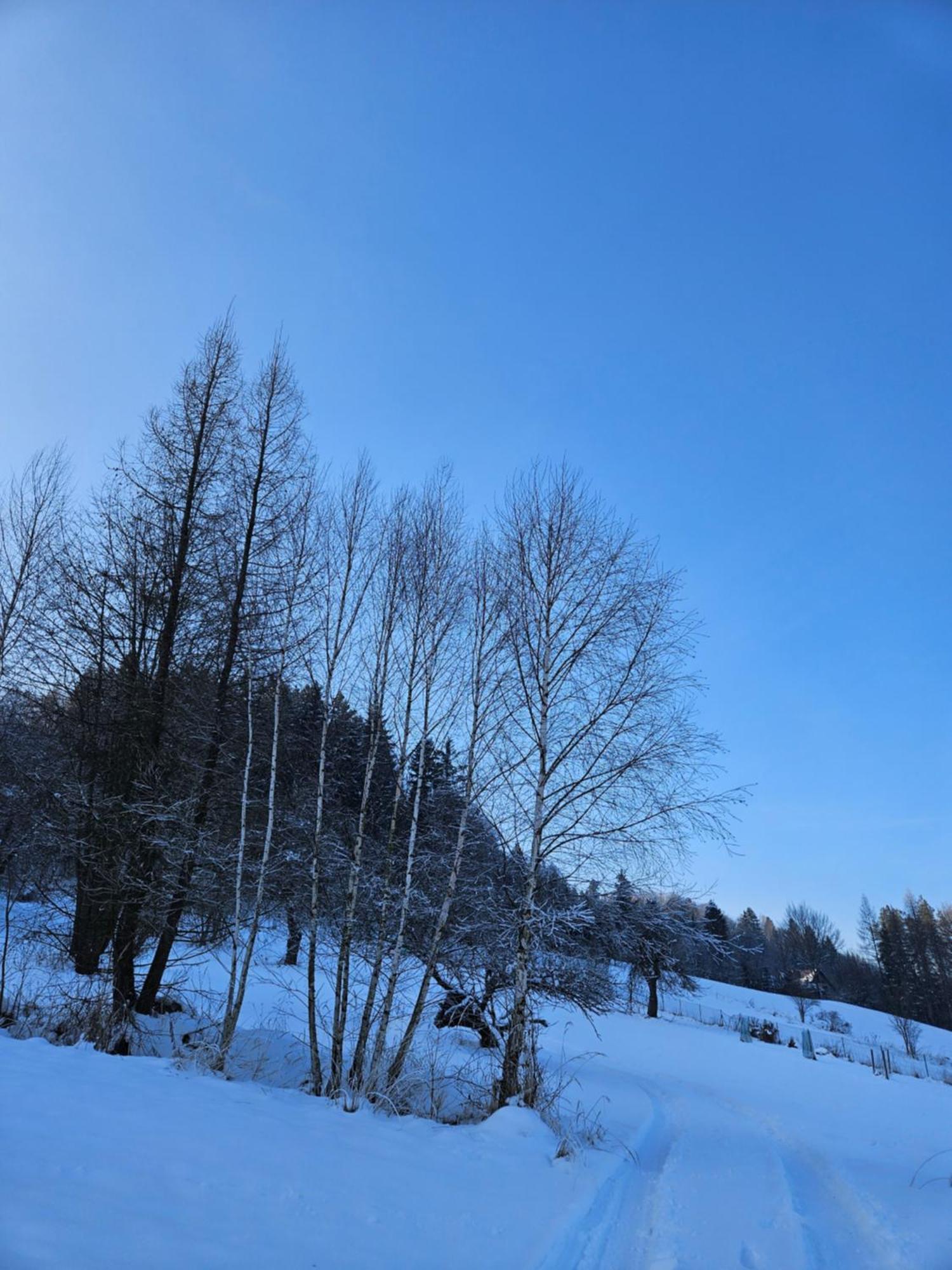 Otulina Park Panzió Szczawnica Kültér fotó