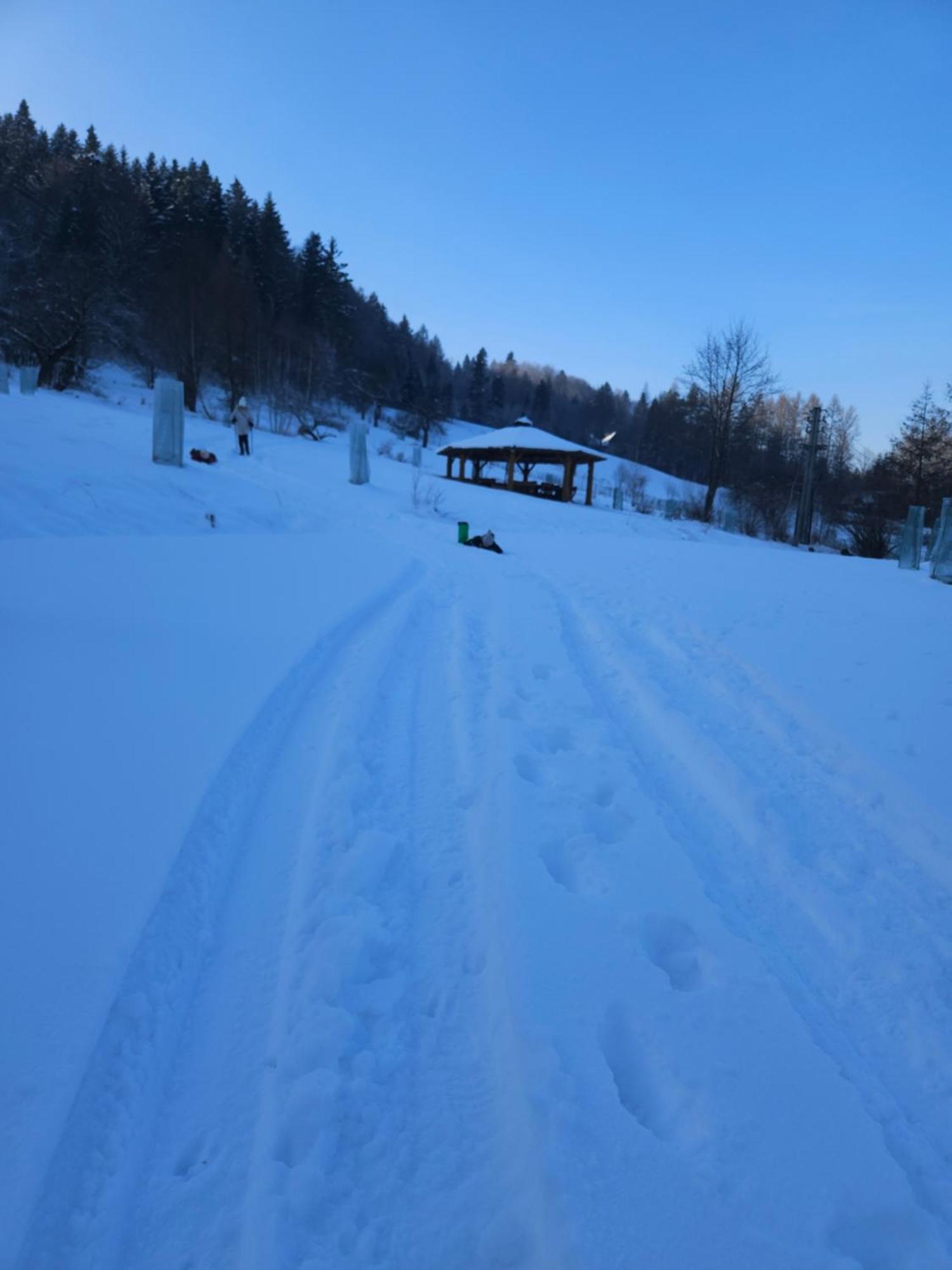 Otulina Park Panzió Szczawnica Kültér fotó